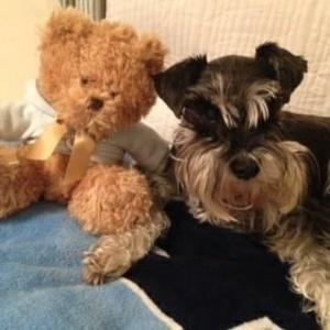 Meet your Posher, Nancy